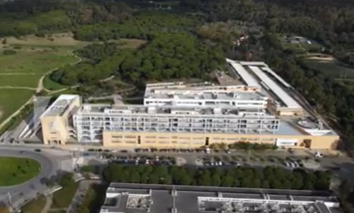 universidades federais de são paulo