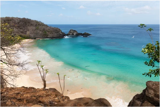 fernando de noronha