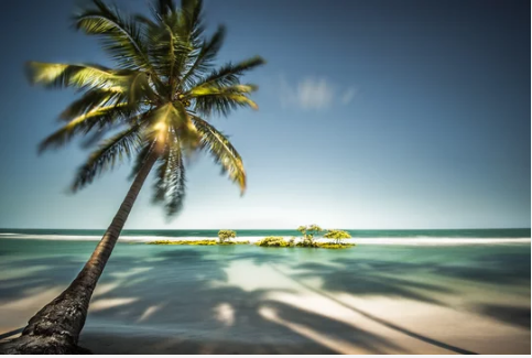 praia dos carneiros