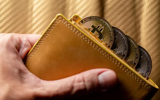 investir em criptomoedas